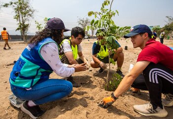 El Ministerio del Ambiente promueve