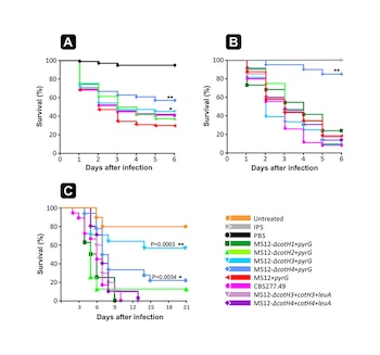 El desarrollo de tratamientos antifúngicos