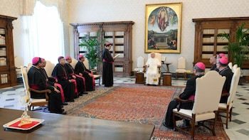 El papa León XIV suspendió sus audiencias hasta el 20 de octubre debido a su intervención quirúrgica
