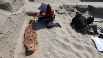 Tras 35 años sin excavaciones