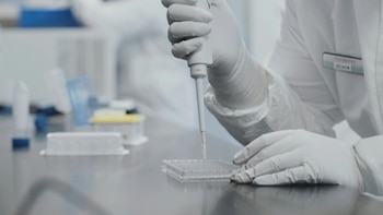 Científicos del MIT prueban una tecnología de ARN en vacunas que ya eliminó tumores en ratones