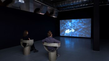 El video puede observarse desde