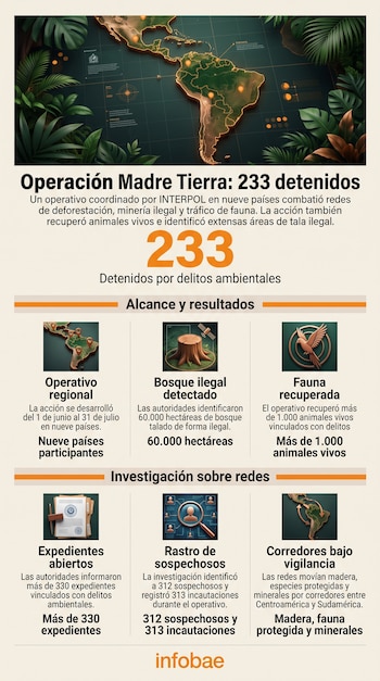 Infografía con un mapa de América, datos de 233 detenidos y seis recuadros con cifras sobre delitos ambientales.