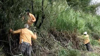 Privados de libertad en Costa Rica limpiarán la ruta de la Romería y apoyarán reconstrucción de hogar afectado por incendio