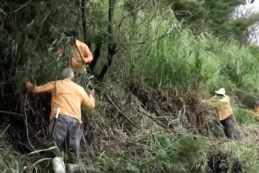 Privados de libertad en Costa Rica limpiarán la ruta de la Romería y apoyarán reconstrucción de hogar afectado por incendio