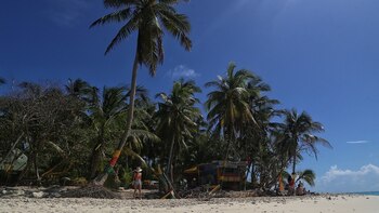 Estos son los pronósticos de