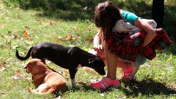 En Montevideo hay más de