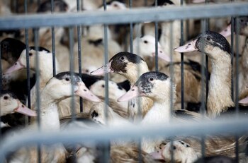 Doug Corwin enfrenta la recuperación