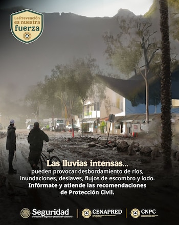 Las autoridades piden alejarse de árboles, cables eléctricos y estructuras que puedan colapsar por el viento. (X/@CNPC_MX)