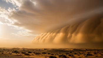 Por qué el polvo del desierto es uno de los factores climáticos que más impacta sobre el calentamiento del planeta