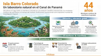 Infografía de la Isla Barro Colorado con mapa, edificios científicos, animales como jaguar, puma, ocelote, manatí, y científicos. Destaca 44 años de monitoreo de mamíferos.