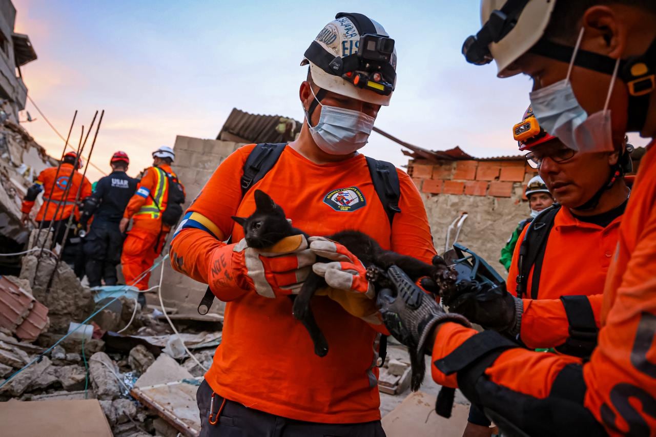 El contingente de El Salvador rescató a ocho víctimas en La Guaira y salvó también a varios perros y gatos. (Foto cortesía Secretaría de Prensa)