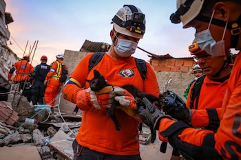 El contingente de El Salvador rescató a ocho víctimas en La Guaira y salvó también a varios perros y gatos. (Foto cortesía Secretaría de Prensa)