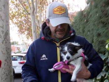 Imagen CLDBXB7GEJDZ7A4NY2GZHCLP2I