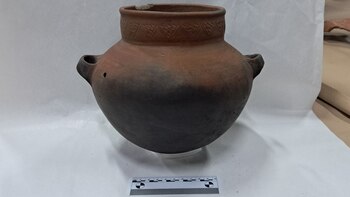 El descubrimiento contribuye al estudio