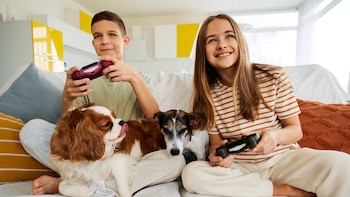 Los psicólogos coinciden: las personas que cuidan varios animales en casa son más organizados