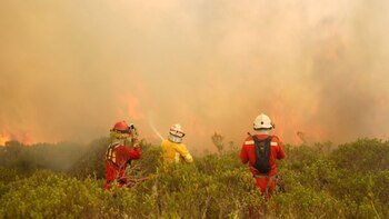 Premier Gustavo Adrianzén se niega