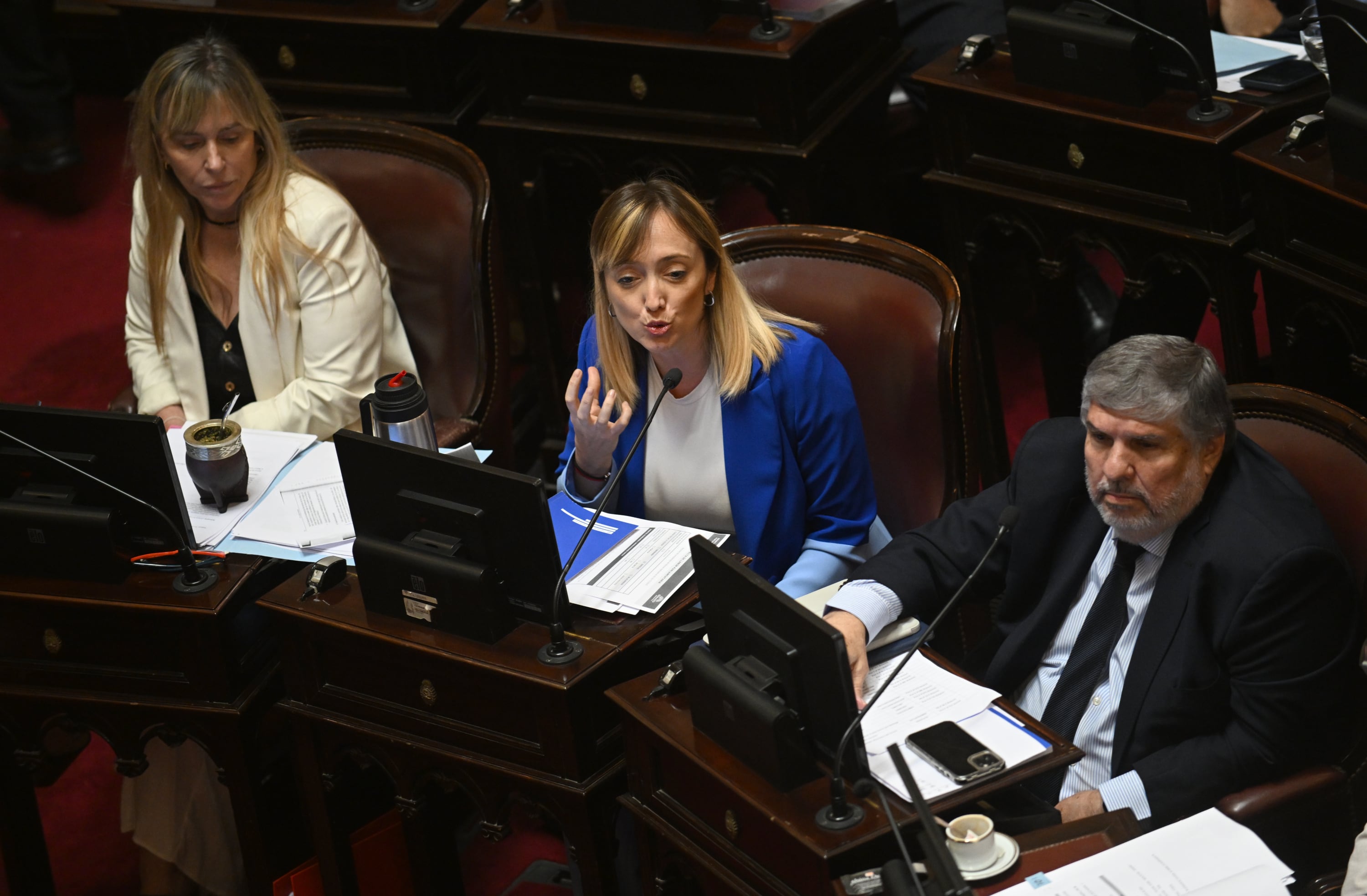 El peronismo podría sufrir nuevas bajas en el Senado mientras transita una etapa de debilidad (Maximiliano Luna)