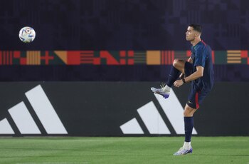 Mientras se dirime su porvenir,