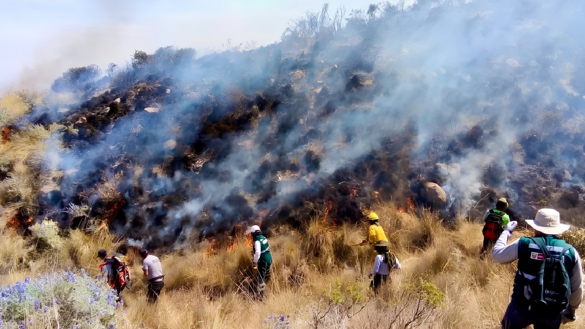 Perú registra 12 incendios forestales activos en varias regiones, según Indeci