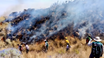 Muere poblador de 65 años tras sufrir quemaduras en incendio forestal en Cusco: cifra de víctimas mortales en la región sube a siete