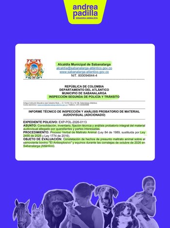 Esta fue la notificación del inspector de Policía sobre los hechos ocurridos en Sabanalarga - crédito @andreanimalidad/X