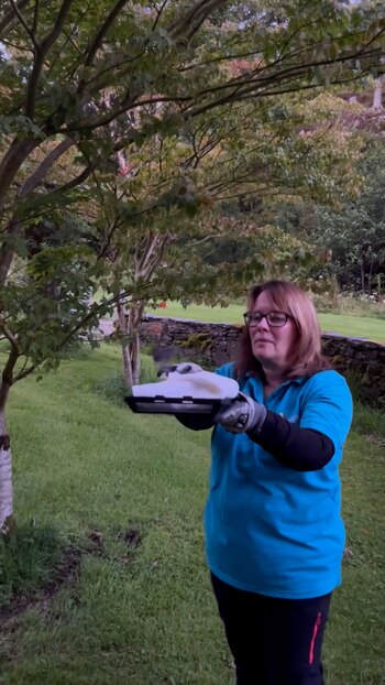 cría murciélago - viaja - Escocia", por favor