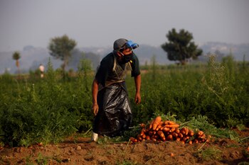 Foografía de archivo en donde