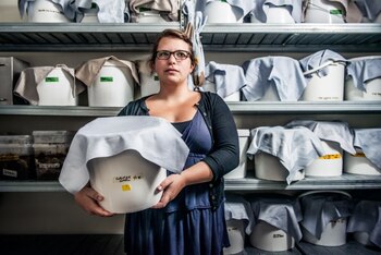 Los "Empowering Educators" tienen la