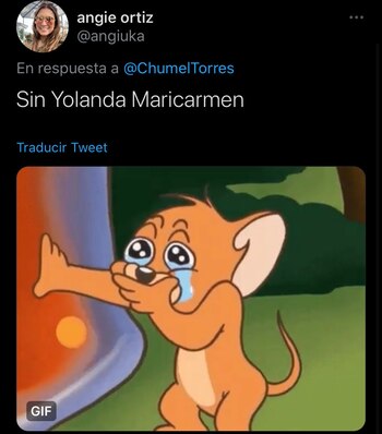 Varios internautas y opositores a