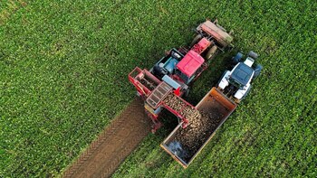 FILE PHOTO: A farmer harvests