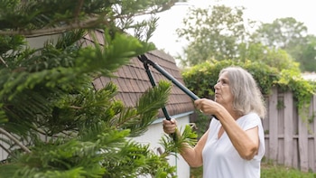 Mujer poda un arbusto del