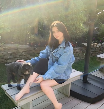 El perro, siempre apegado a