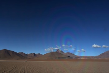 La Conaf estima que el Desierto Florido podría extenderse hasta 15.000 kilómetros cuadrados si se mantienen las condiciones en Atacama (REUTERS)