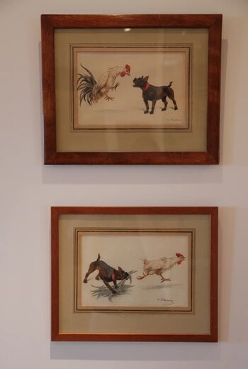 "El bulldog y el gallo"