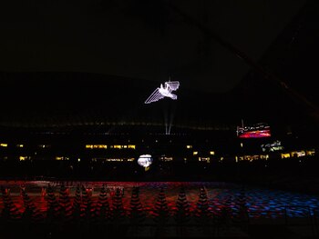 Un pájaro gigante surca el