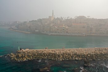 Una vista general sobre el