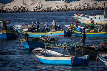 Pescadores palestinos con mascarillas preparan