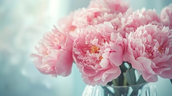 La peonía generalmente tiene un