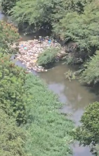 El derecho de petición presentado por la Fundación exige claridad respecto a cuál autoridad debe encabezar y coordinar la intervención urgente en el río Gaira.