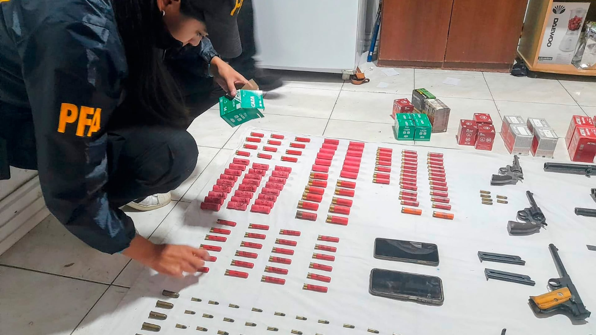 Incautaron más de 700 municiones