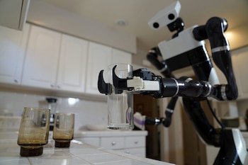 Se logró entrenar a los