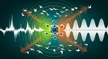 Ilustración de un criptocromo molecular con ondas de radio continuas y de pulso, círculos concéntricos, aves blancas volando y líneas de energía.