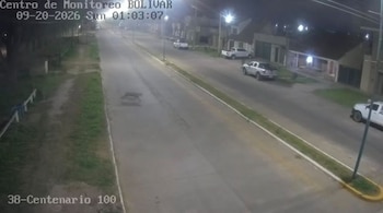 Vieron a un puma en Bolívar a través de cámaras de seguridad