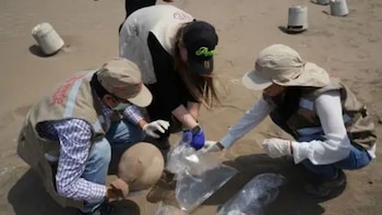 Piezas arqueológicas en subastas internacionales reavivan sospechas de tráfico ilícito vinculado a sitios arqueológicos de Lima