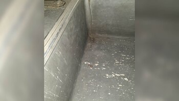 Parte del ataque fue contra