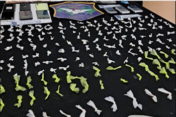 El material incautado a las