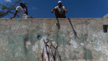 La paradoja de una isla con miles de kilómetros de costas que ya no puede poner pescado en la mesa