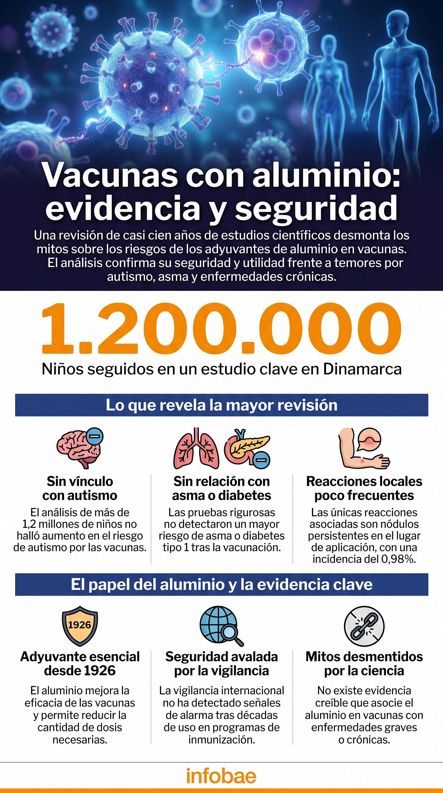 La revisión incluyó 59 estudios y confirmó que las reacciones graves a las vacunas con aluminio son extremadamente infrecuentes
(Imagen Ilustrativa Infobae)