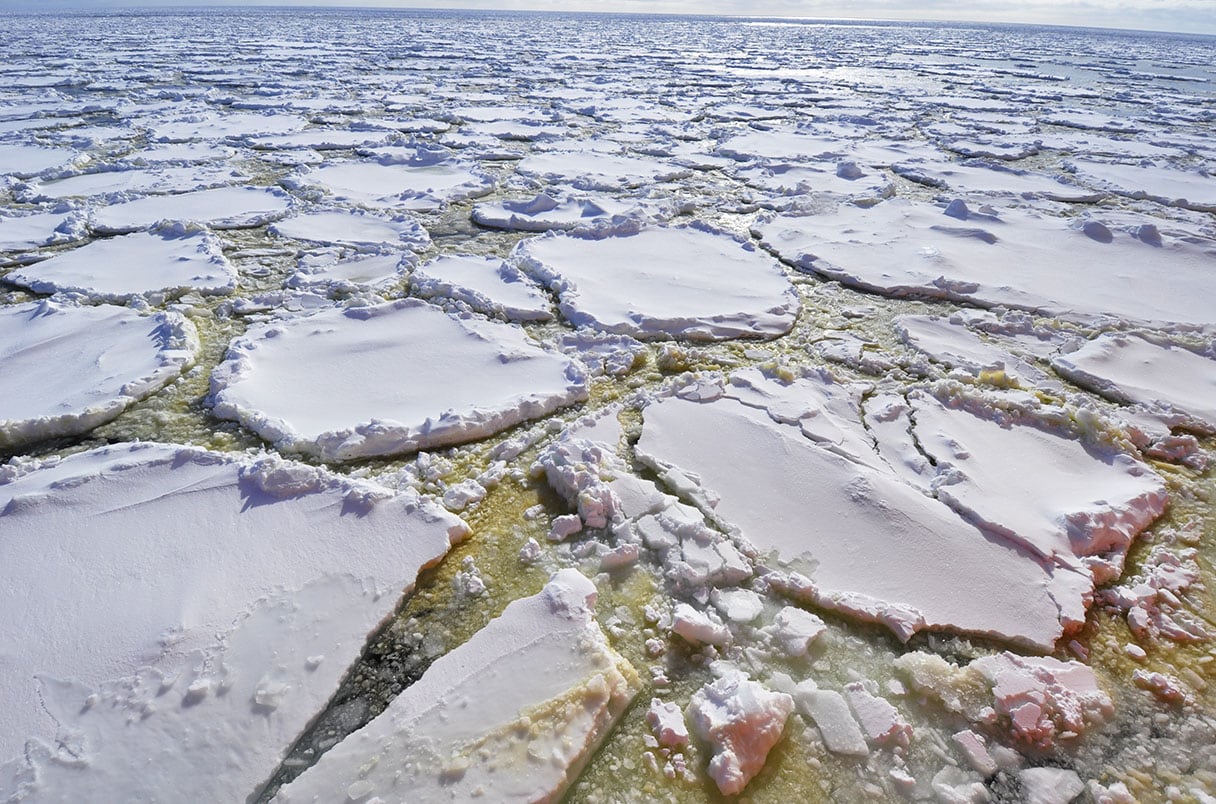 Los terremotos en aguas profundas están cambiando la superficie de la Antártida